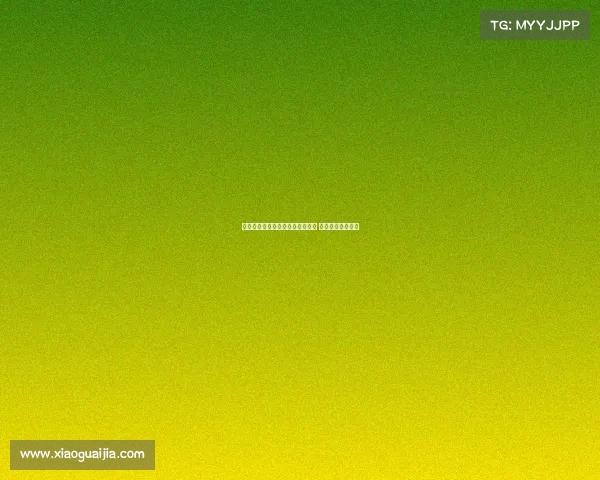 西甲球迷热情四溢：球队竞争激烈 球员风采引领潮流