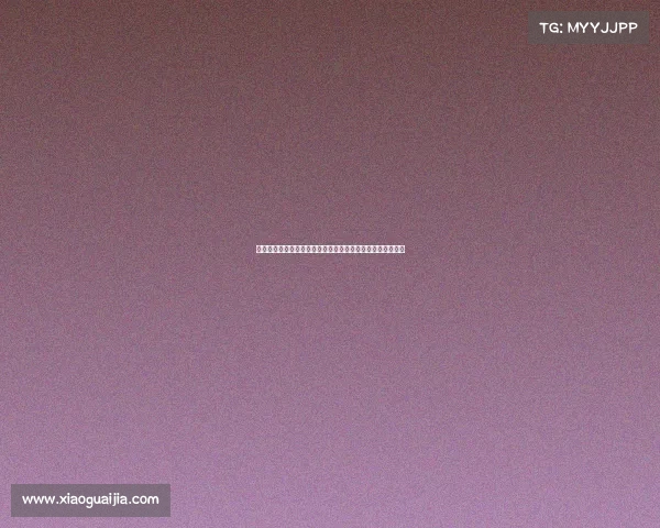 网球比赛志愿者的责任与挑战：为赛事顺利进行提供幕后支持