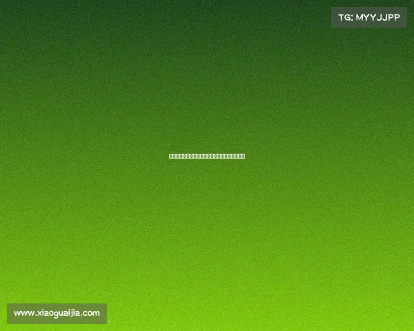 曼城崛起之路：从英超霸主到欧洲荣耀的华丽蜕变