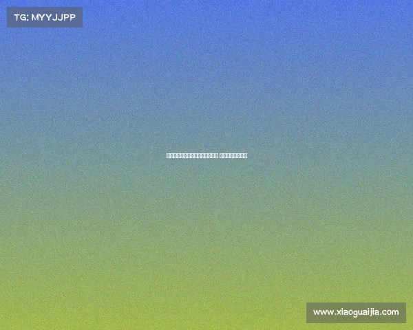 西甲球迷热情四溢：球队竞争激烈 球员风采引领潮流