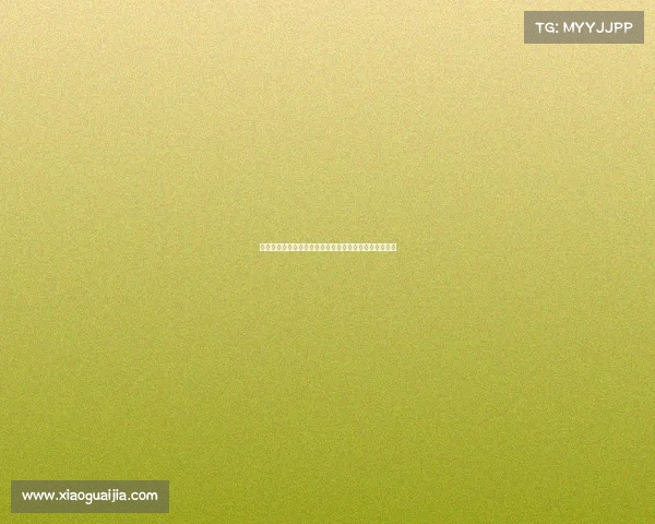 法甲比赛全程高清直播平台推荐，轻松观看精彩赛事直播