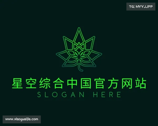 关于中国星空综合网